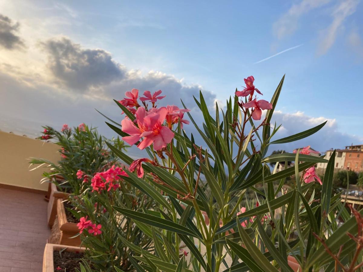 La Terrazza Di Re Scarlino Appartement Buitenkant foto